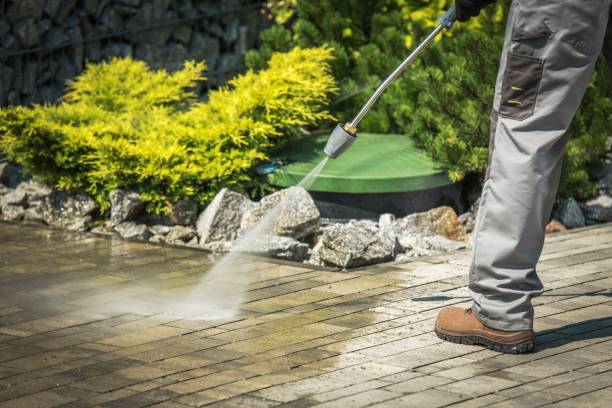 Best Rust Removal  in Los Gatos, CA